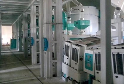 Rice Processing Equipment 100TPD