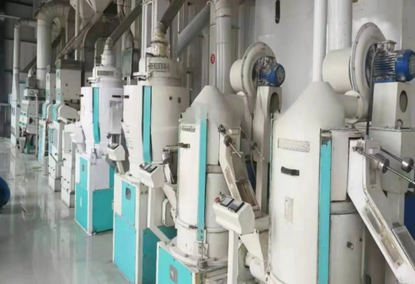 Rice Processing Equipment 100TPD