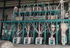Seed/Feed milling equipment 5-500tpd