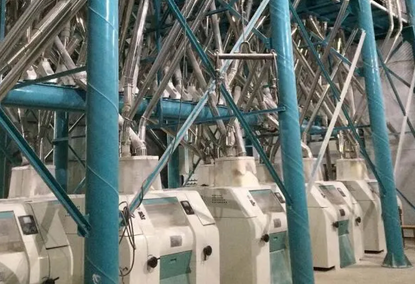 Seed/Feed milling equipment 5-500tpd