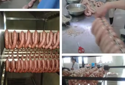 Sausage machine ZG6000